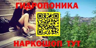 шишки Первоуральск